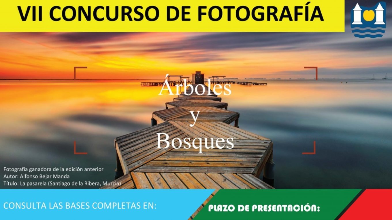 Concurso de Fotografía de Polanco