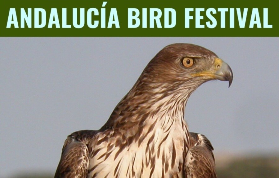 Concurso de Fotografía Aves de Andalucía