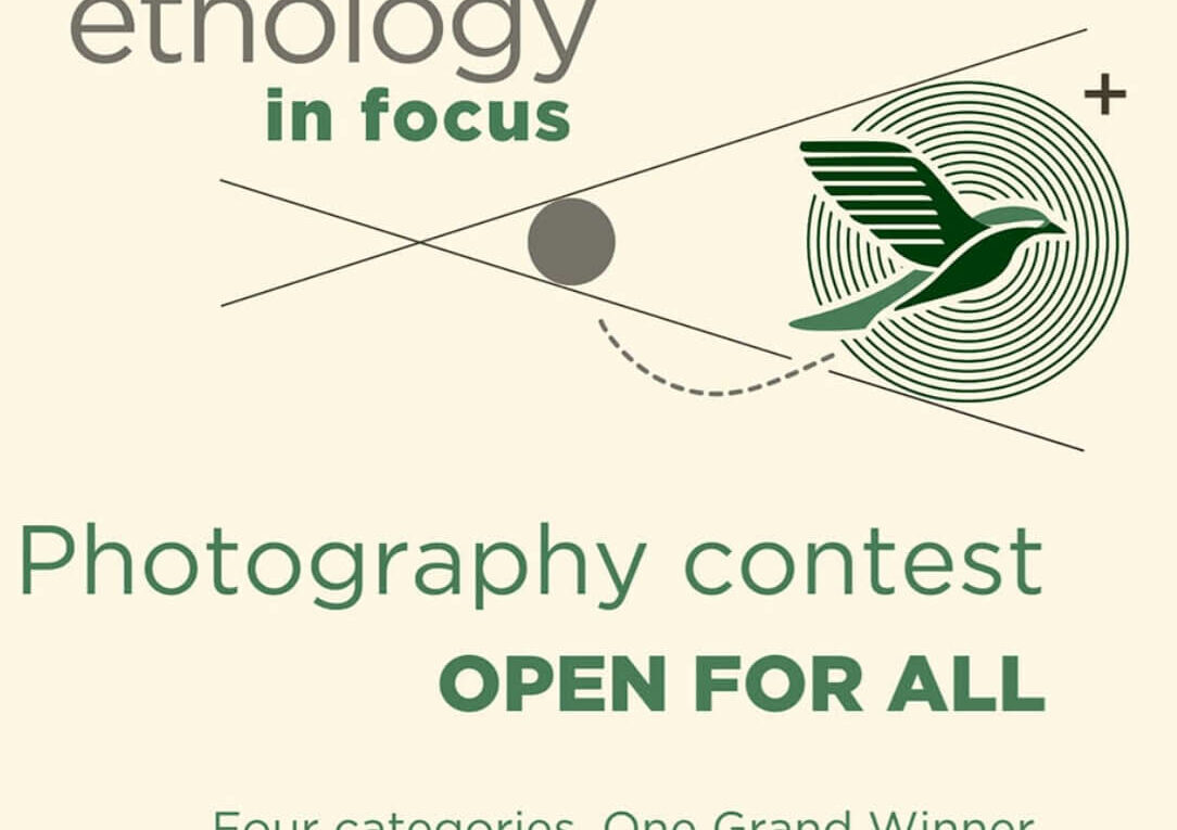 Ethology in Focus
