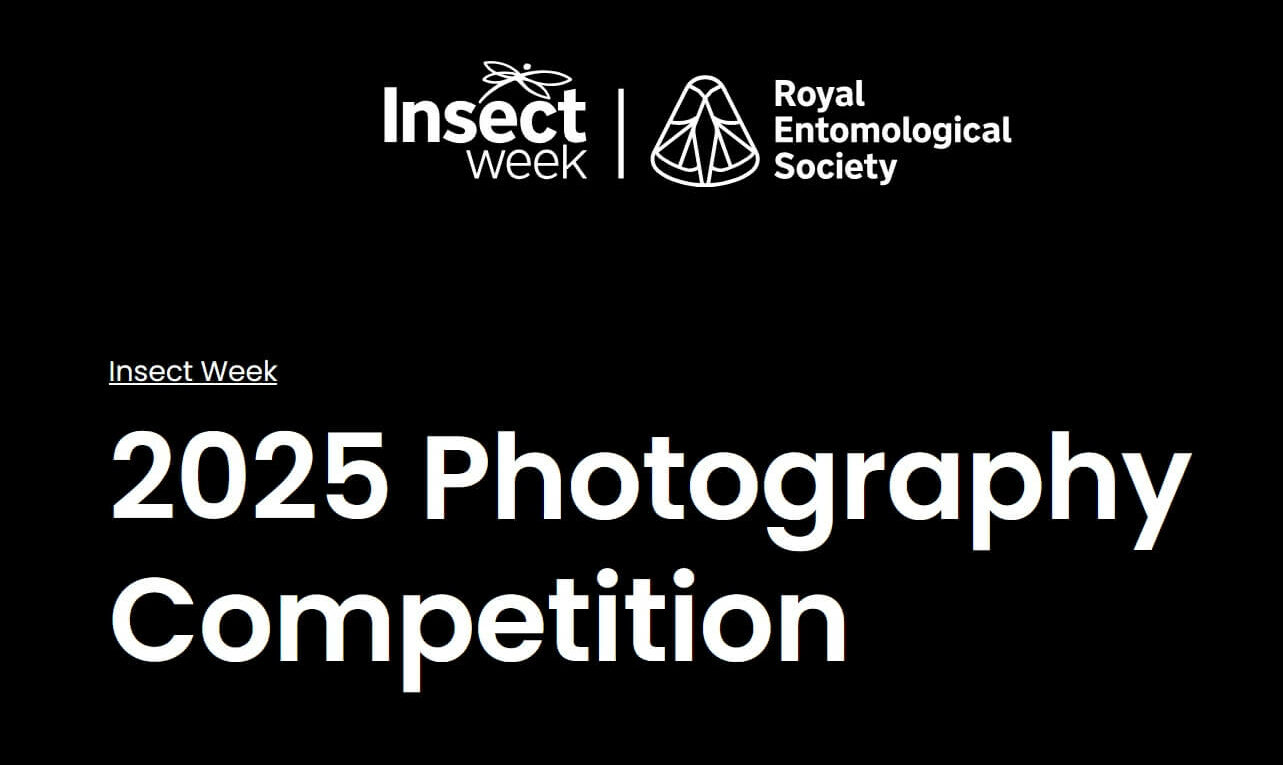 Insect Photography Competition
