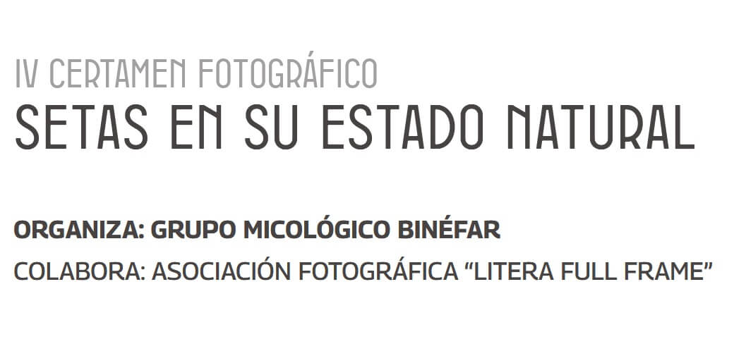 Certamen Fotográfico SETAS EN SU ESTADO NATURAL