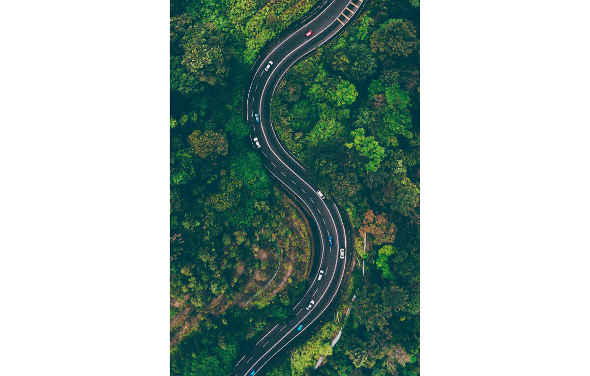 Environment