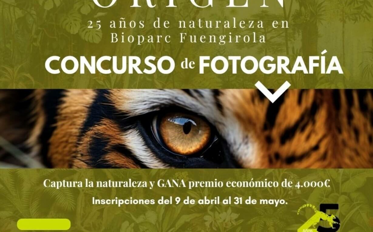 Concurso Fotografía ORIGEN