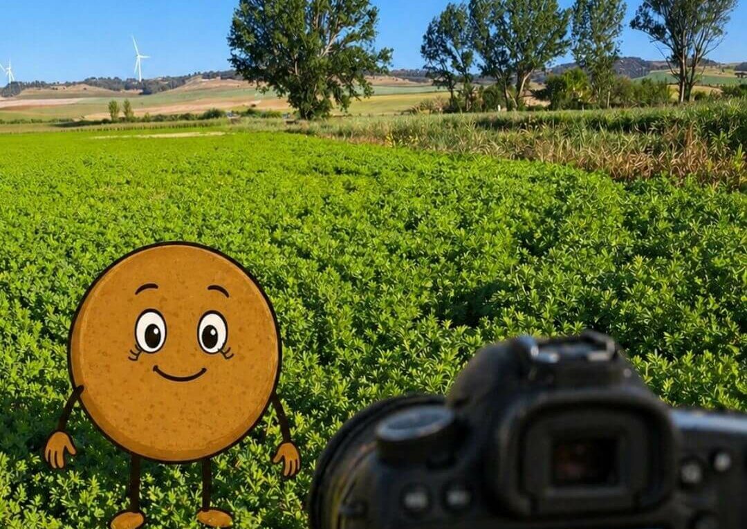 Enfoca la Lenteja