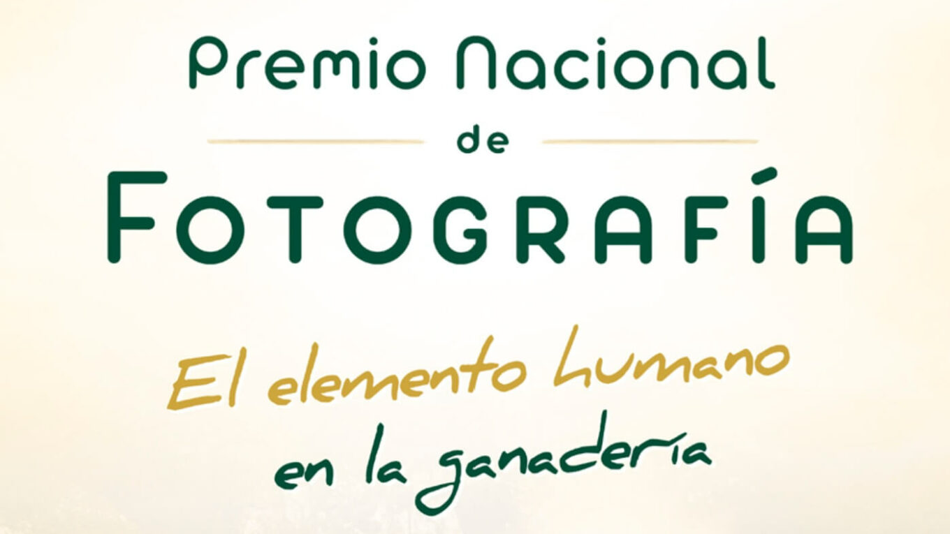 Premio de Fotografía Fundación Ricardo Delgado Vizcaíno